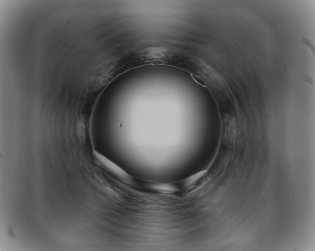 X0000097780562200803141810