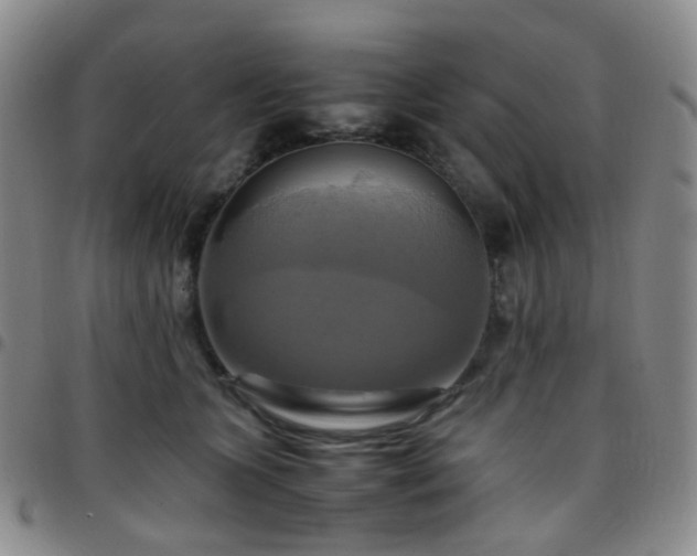 X0000097780563200803141810