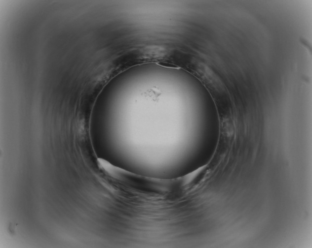 X0000097780564200803141810