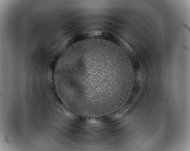 X0000097780565200803141810