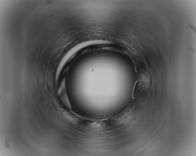 X0000097780566200803141810