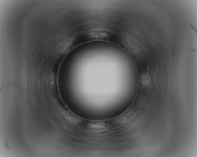 X0000097780567200803141810