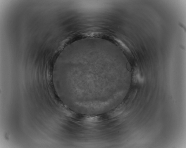 X0000097780569200803141810