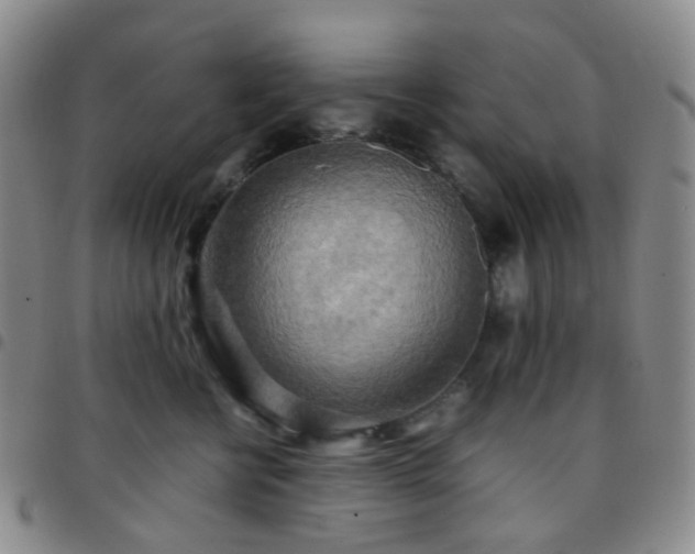 X0000097780570200803141810