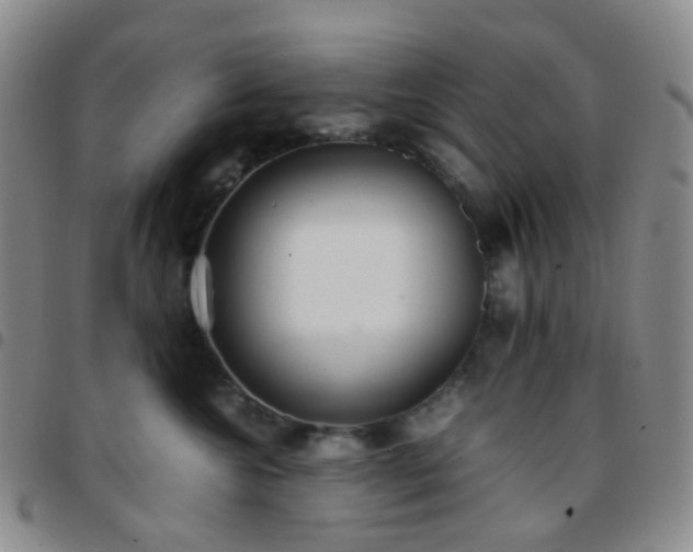 X0000097780572200803141810