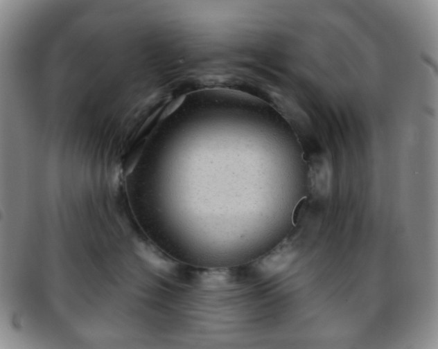 X0000097780574200803141810