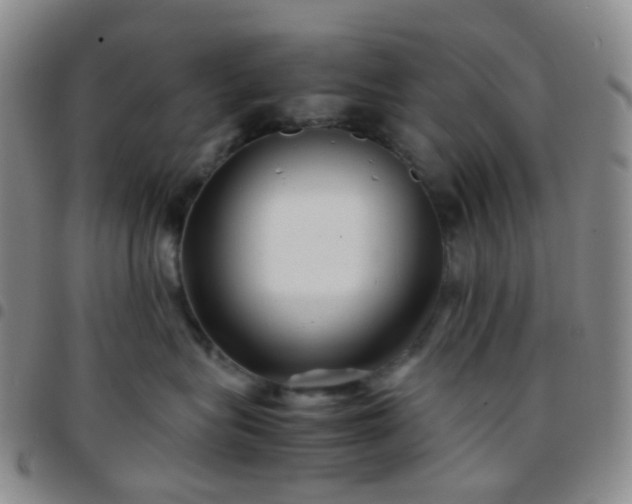 X0000097780575200803141810