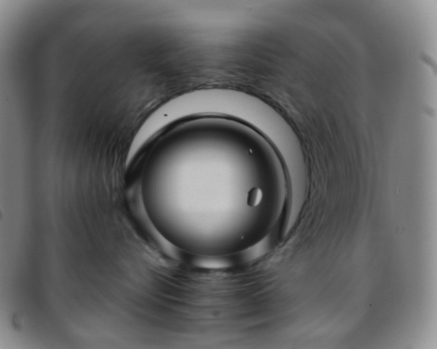 X0000097780576200803141810