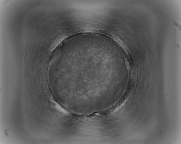 X0000097780577200803141810