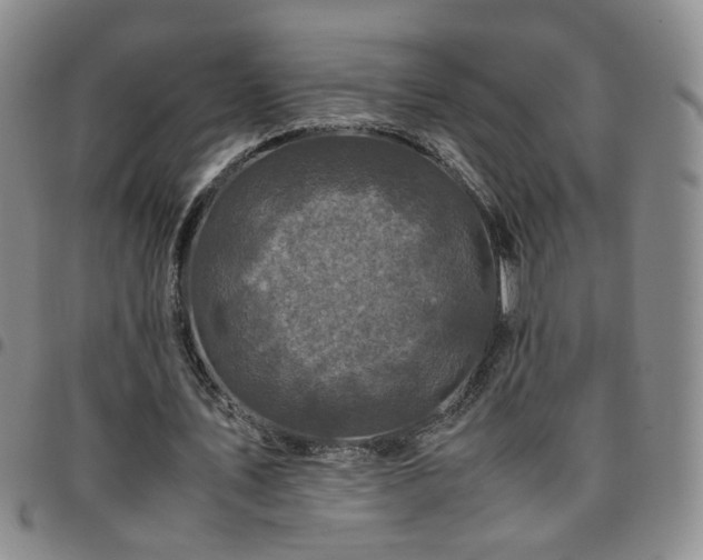 X0000097780579200803141810