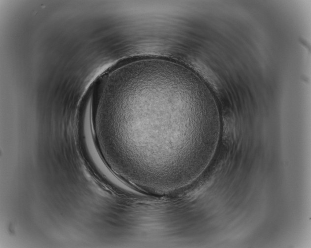 X0000097780580200803141810