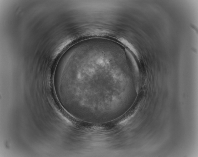 X0000097780581200803141810