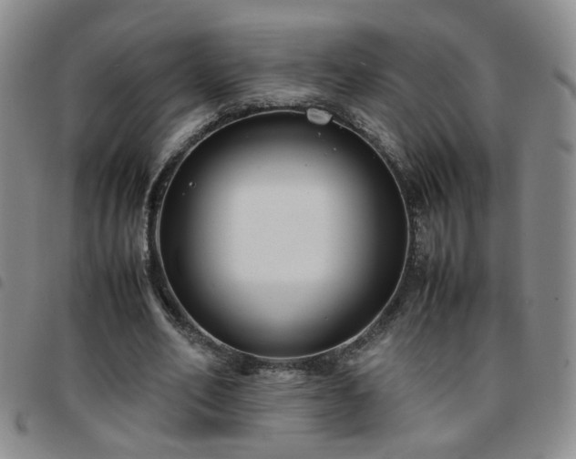 X0000097780582200803141810