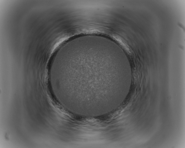 X0000097780583200803141810