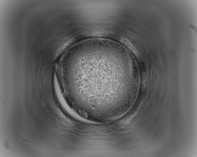 X0000097780585200803141810