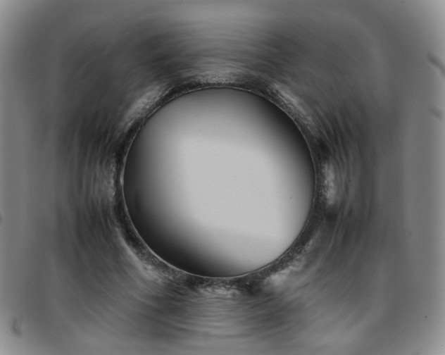 X0000097780586200803141810