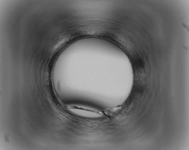 X0000097780587200803141810