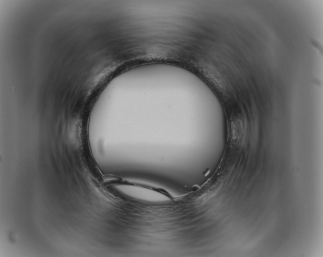 X0000097780588200803141809