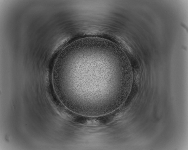 X0000097780591200803141809