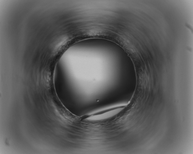 X0000097780592200803141809