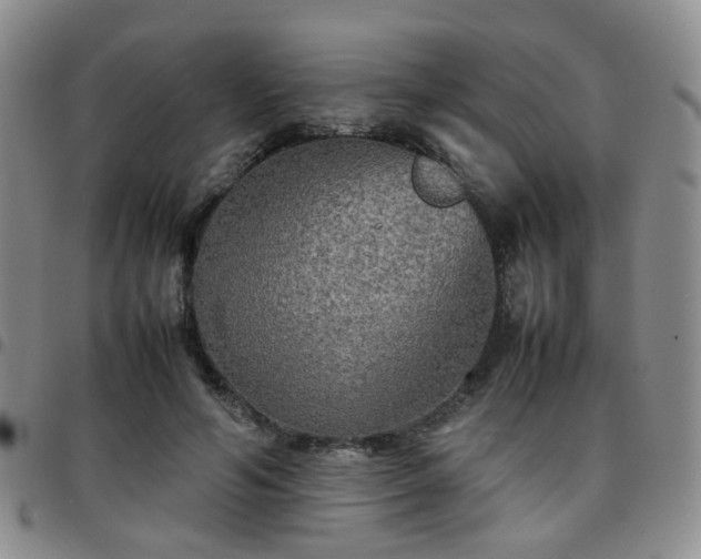 X0000097780594200803141809