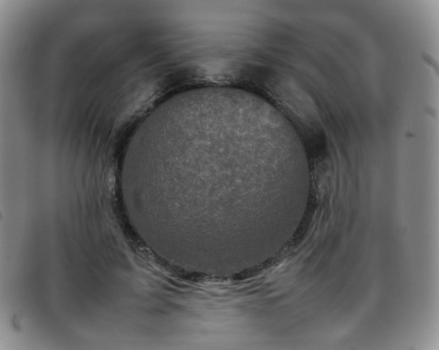 X0000097780595200803141809