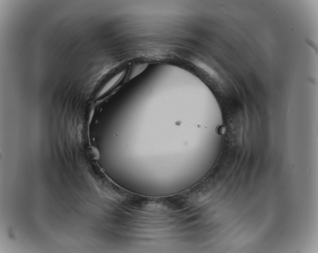 X0000097780596200803141809