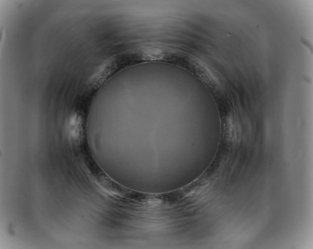 X0000097780598200803141809