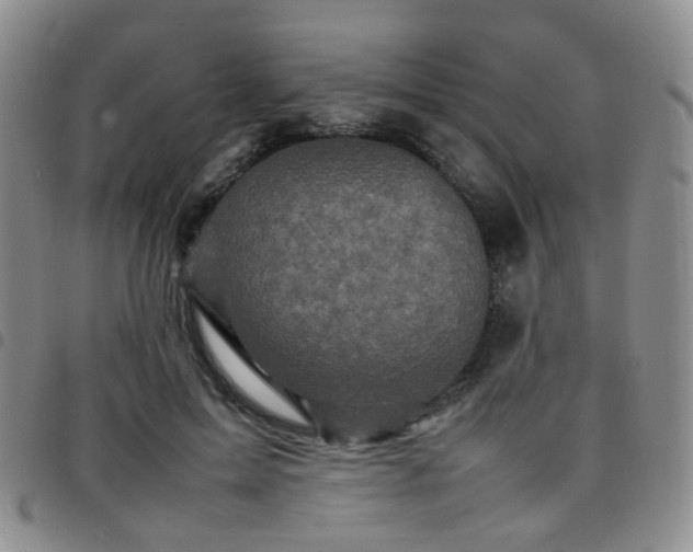 X0000097780599200803141809