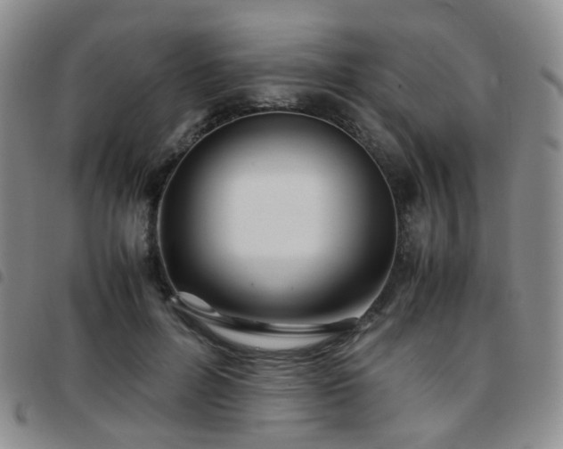 X0000097780600200803141809