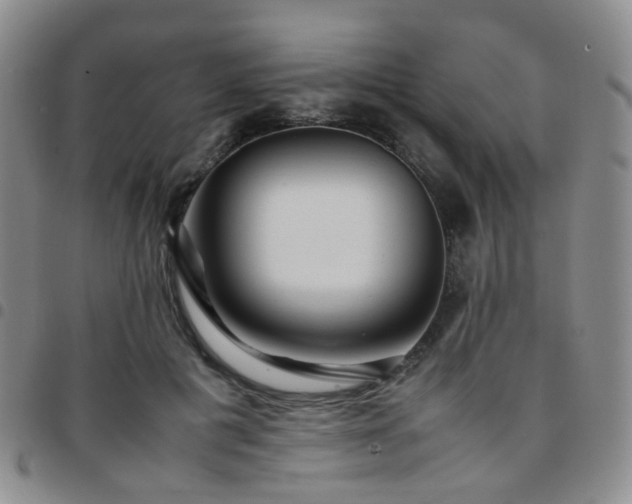 X0000097780601200803141809