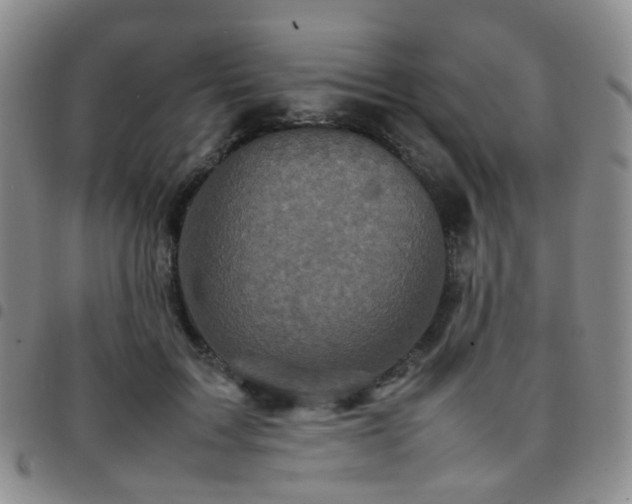 X0000097780603200803141809