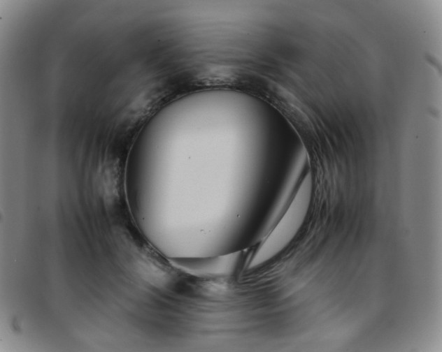 X0000097780604200803141809