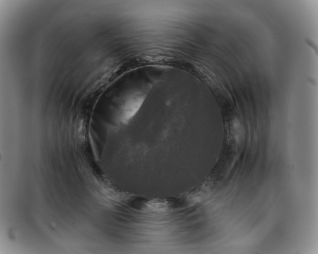 X0000097780606200803141809