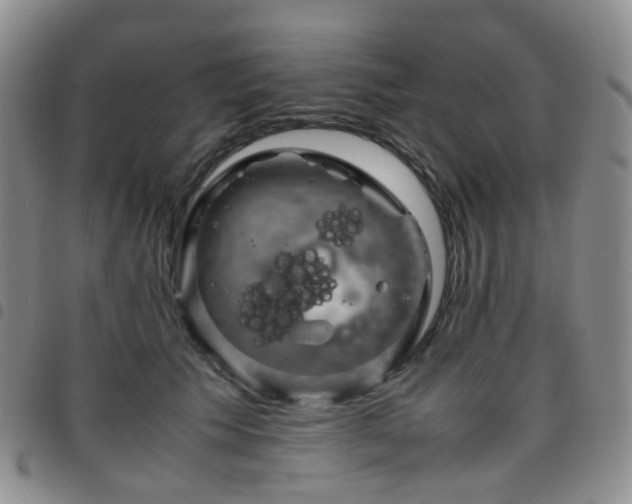 X0000097780609200803141809