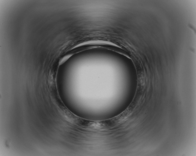 X0000097780611200803141809