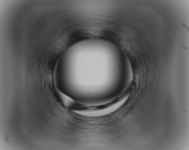 X0000097780613200803141809