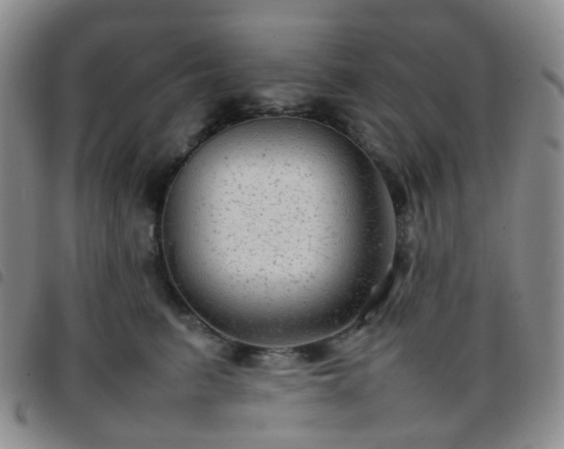 X0000097780615200803141809