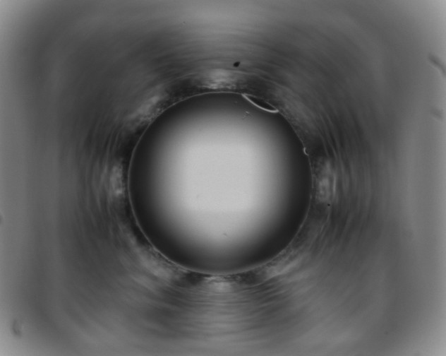 X0000097780620200803141809