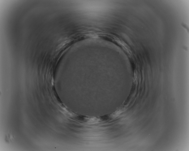 X0000097780621200803141809