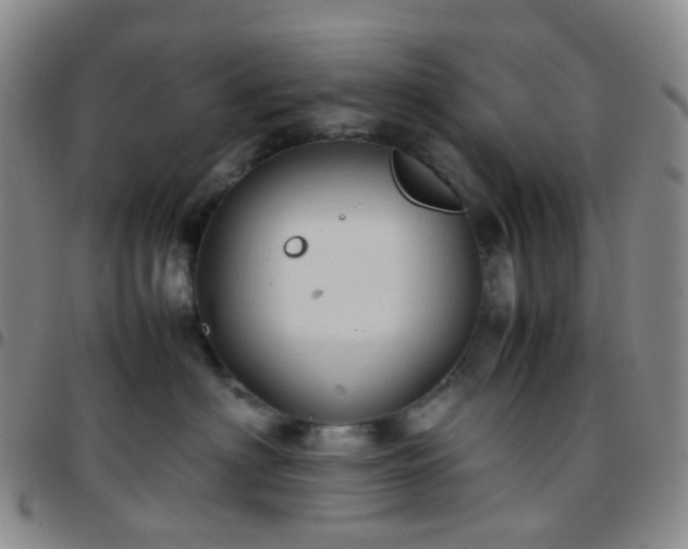 X0000097780622200803141809