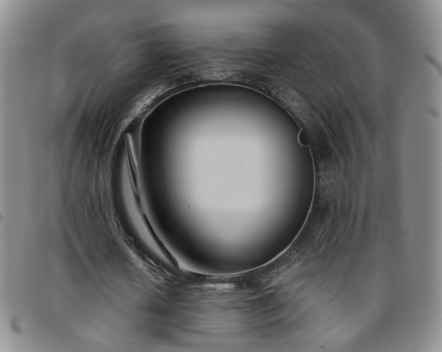 X0000097780626200803141808