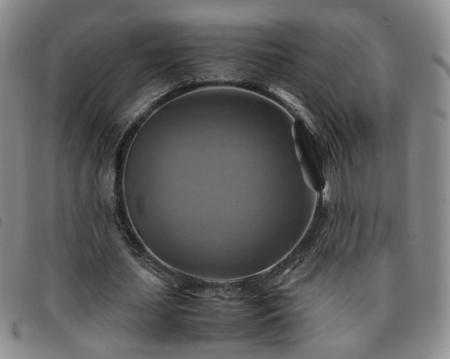 X0000097780627200803141808