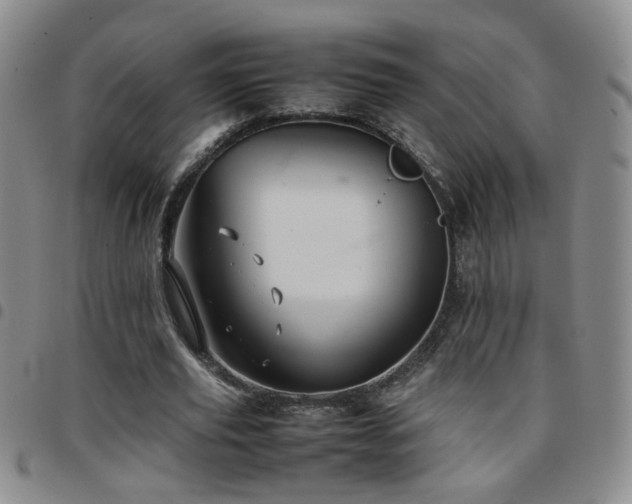 X0000097780629200803141808