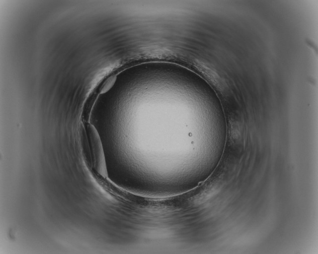 X0000097780630200803141808