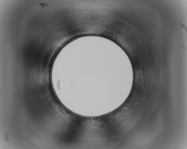 X0000097780632200803141808