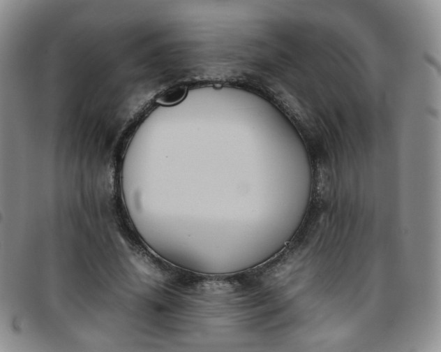 X0000097780636200803141809