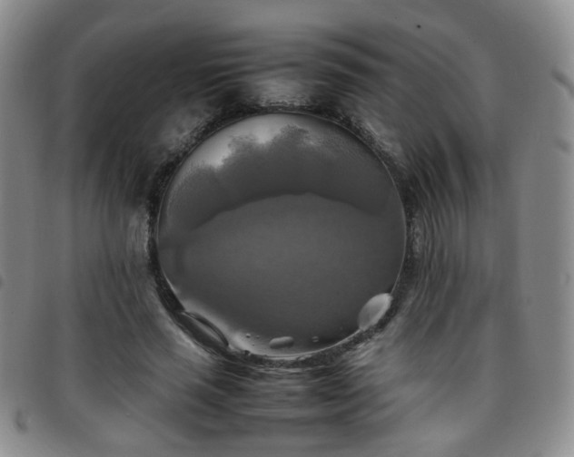 X0000097780637200803141809