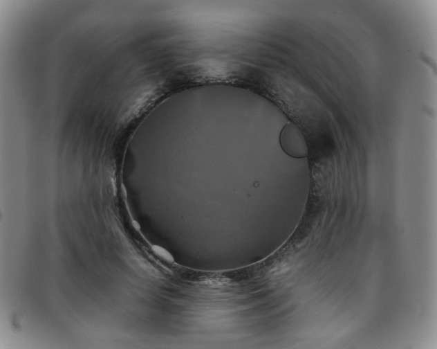 X0000097780642200803141809