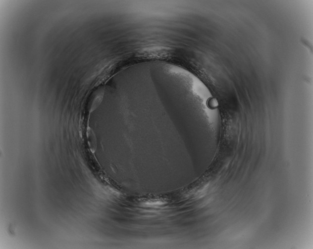 X0000097780643200803141809